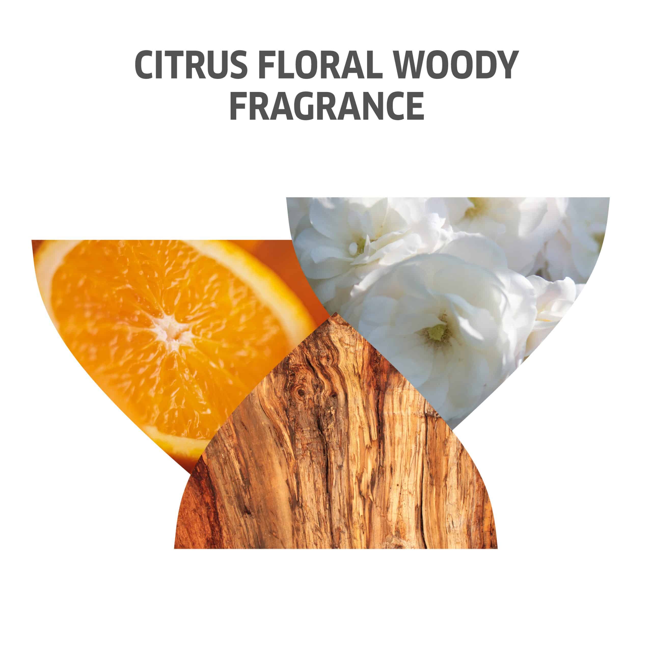 Wella Invigo Color Brilliance Mask Fine (150ml) – Bild 7